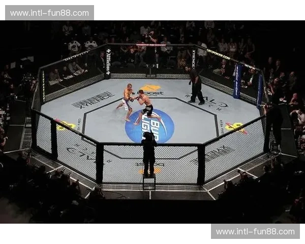 玫瑰与铁拳的终极巅峰：汪柯菡VS伊卡翠娜，谁才是格斗界的唯一真神？